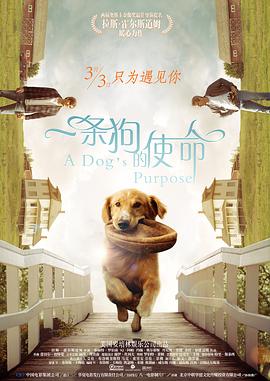然而1月14日有消息称，李威卷入台北市“精舍杀人案”，被警方约谈。